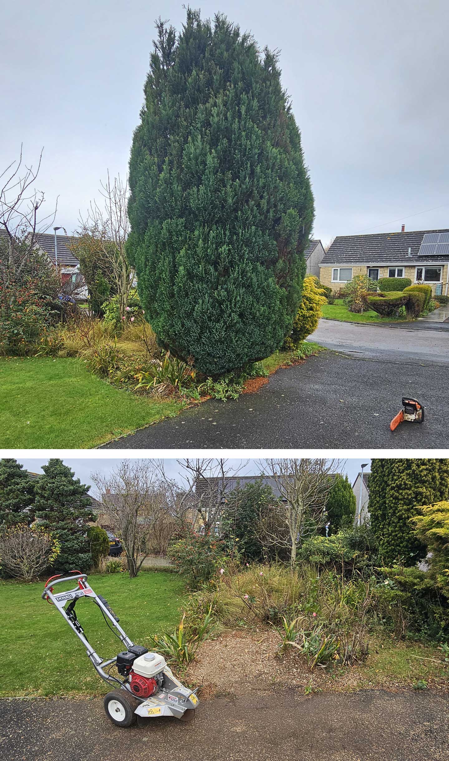 Professional Stump Grinding & Removal Services in Northumberland